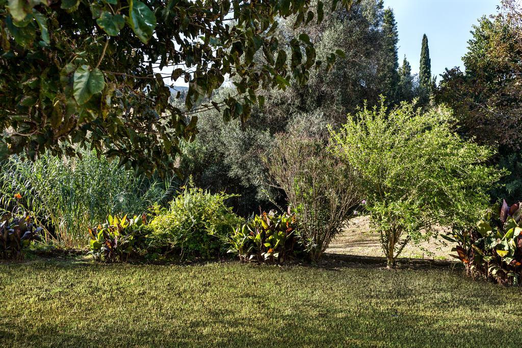 Villa Zen Stone House Agios Georgios Pagon Habitación foto